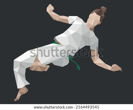 Woman does jumping kick.
Capoeira girl does armada com martelo. Low poly design vector illustration icon Foto stock © 