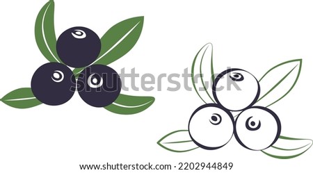 Acai berry, blueberry, blackberry vector illustration icon with colors and outlines.