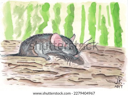 Watercolor painting. Painting of a rat climbing out of a hole. Art, original watercolor painting. Rat, rodent, animal, fur, teeth, ears. Textured surface under the rat. Nature, animals