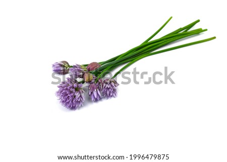 Similar – Image, Stock Photo White chive blossom with green stems parallel