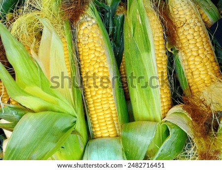 Similar – Image, Stock Photo Organic corn seeds and a glass jar container on a grey background