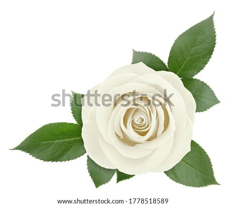 Similar – Image, Stock Photo Detail of a rose window and sculpted filigrees at the front of a gothic cathedral