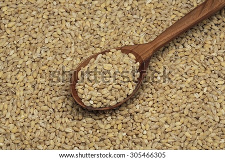 pearl barley in a wooden spoon top view