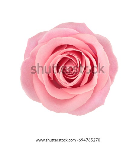 Similar – Image, Stock Photo Detail of a pink poppy flower with raindrops on the petal