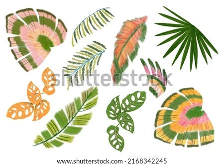 colorful tropical set isolated elements flowes and plants branches artsy watercolor gouache handrawn digital illustration cashew monstera leaf feather parrot palm pink embroidery leaves abstract ストックフォト © 