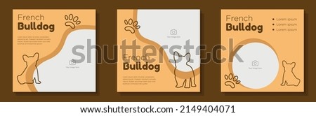 French bulldog social media post, banner set, baby pug pet dog advertisement concept, animal paws, dog care marketing square ad, abstract print, isolated on background.