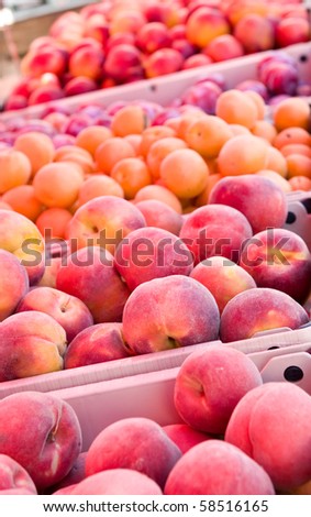 Peaches, apricots, plums, and nectarines in bins at the farmer\'s market. Shallow depth of field with focus on second bin from front.