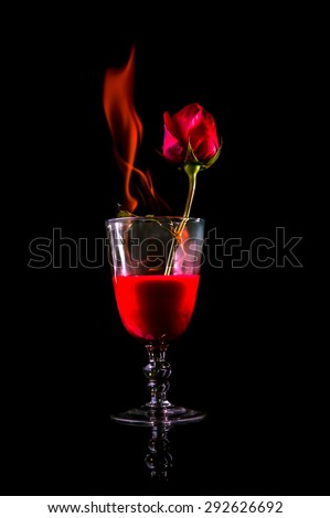 rose fire in wine glass on black background