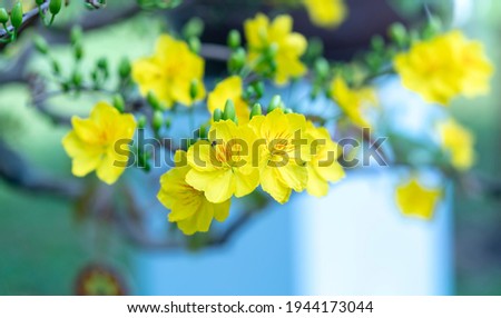 Shutterstock Puzzlepix