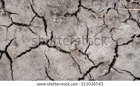 Dry of Cracked clay ground texture background. Abstract of Cracked clay in the summer season.