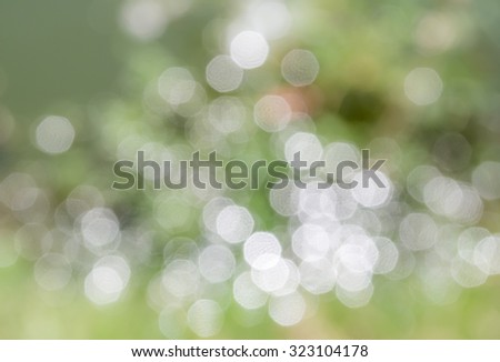 Green and white bokeh from nature background in the bright day.