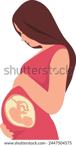 A pregnant woman touching her belly. A baby in a belly of a pregnant woman. Transparent background. Vector illustration