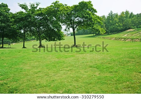 Green field in the park .\
The Hongkong moring.Green field in the garden.In spring, all the things recover from the winter.