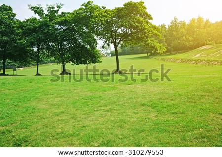 Green field in the park .\
The Hongkong moring.Green field in the garden.In spring, all the things recover from the winter.