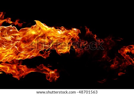 Silhouette of a mystical animal on fire