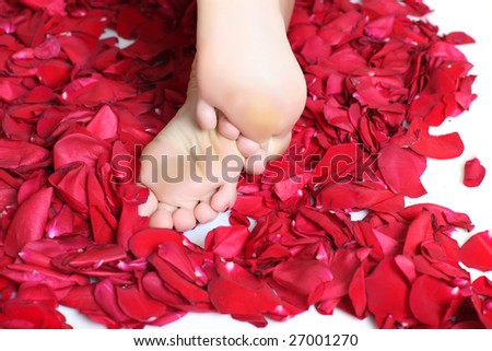 Pair of well-groomed feet against from petals of red roses, please look other photos of this series: