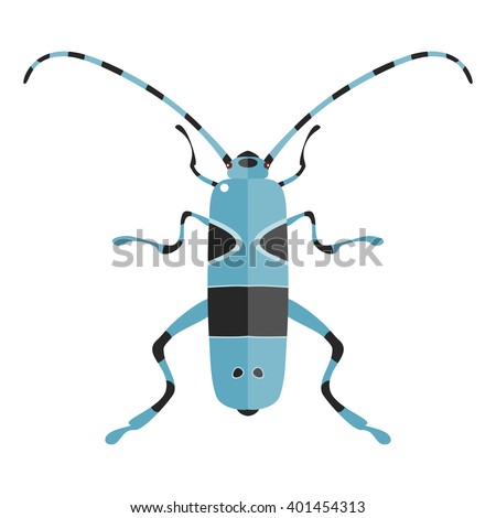 Vector illustration of a Rosalia Alpina. Isolated on a white background.