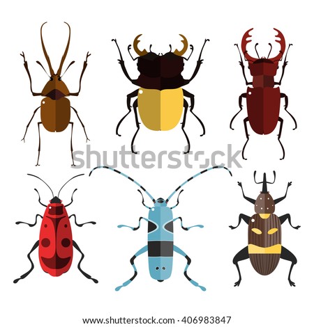 Vector illustration of bugs. Isolated on a white background. Beetle flat icons. Insect set.