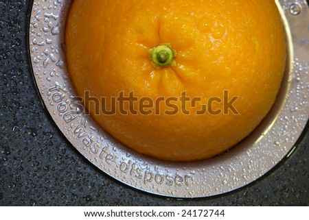 orange in the hole ot hte food waste disposer