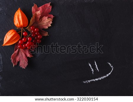 Autumn leaves and berries on black slate background with place to text and smile