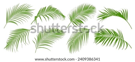 Similar – Image, Stock Photo palm palms Palm frond