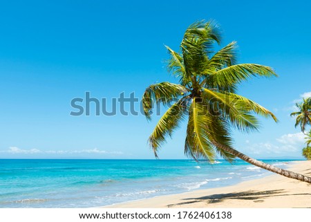 Shutterstock Puzzlepix