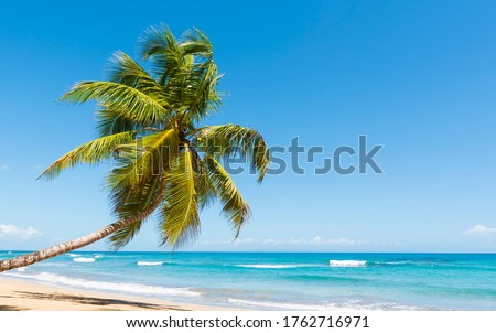Shutterstock Puzzlepix