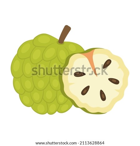 Custard apple whole fruit and half sliced isolated on white background. Cherimoya, annona reticulata, wild sweetsop, soursop, sugar apple icon for package design. Vector illustration.