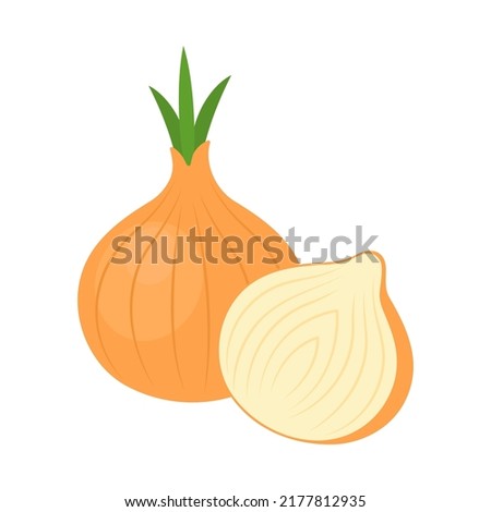 Yellow onions isolated on white background. Whole root onion and half. Allium cepa, bulb or common onion icon. Vector vegetables illustration in flat style.
