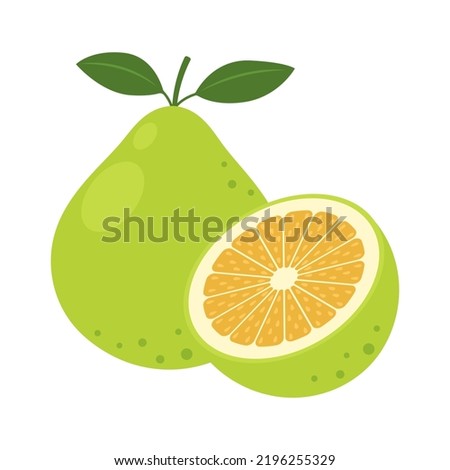 Pomelo whole fruit and half isolated on white background. Citrus maxima, shaddock, jabong or jambola icon. Vector illustration of tropical exotic fruits in flat style.