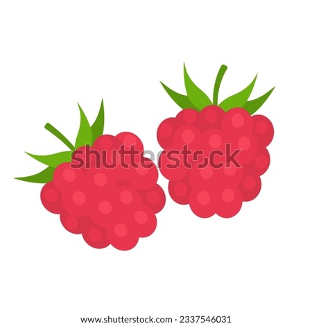 European red raspberry isolated on white background. Rubus idaeus. Pink raspberries with leaves icon for package design. Vector illustration of fruits and berries in flat style.