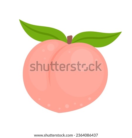 Peach whole fruit isolated on white background. Sweet Japanese shimizu white peach icon. Prunus persica. Vector illustration of tropical exotic fruits in flat style.