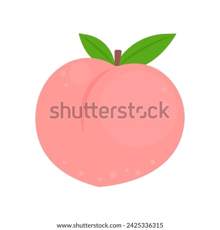 Peach whole fruit isolated on white background. Sweet Japanese shimizu white peach icon. Prunus persica. Vector illustration of tropical exotic fruits in flat style.