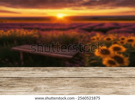 Similar – Image, Stock Photo Lavender and sunflower fields in Provence, France