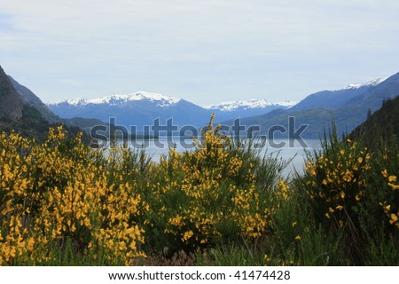 mountain lake in Patagonia(San Martin de Los Andes, Argentina)