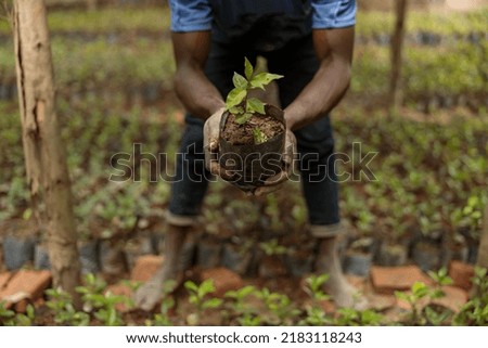 Similar – Foto Bild Erntehelfer mit kleinen Wassermelonen