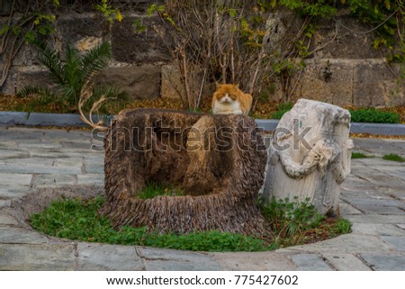 Similar – Image, Stock Photo Cute cut under ancient temple carved in rock