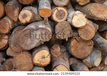 Pile of stacked wood. Close up and front view. Stock foto © 