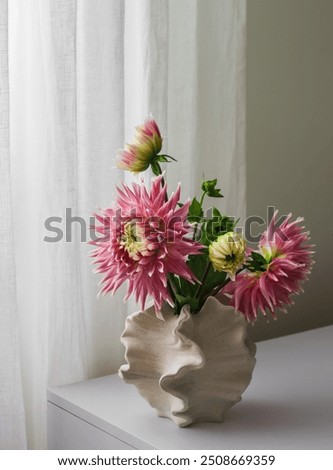 Similar – Image, Stock Photo Pink dahlia, minimal aesthetic background