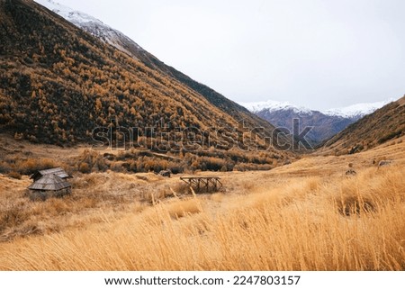 Similar – Image, Stock Photo A few wooden huts and many bushes and trees are standing around on a hilly green meadow landscape in the nature park Ammergau Alps in Upper Bavaria and a piece of bicycle path can be seen as well.