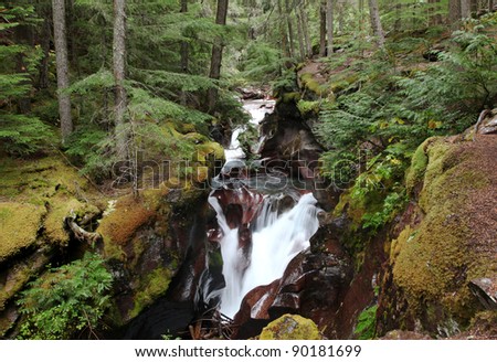 Avalanche Creek Waterfall, Glacier National Park