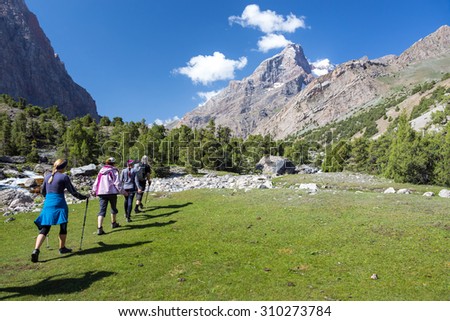 Group of Hikers Walking into Wilderness.\
Large Group of People Sport Clothing Going on Green Grass Meadow Up towards Forest and Mountain Peaks Sunlight Blue Sky Majestic Summits Background