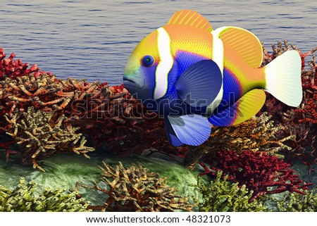 OCEAN SHALLOWS - A colorful clown-fish swims among the corals of an ocean reef.