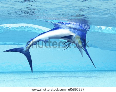 DIVE - A Marlin dives in shallow waves looking for fish to eat.