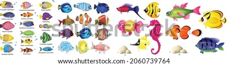 Tropical fish vector cartoon icon, Fish wave. Decorative flock of fish. Fish collection