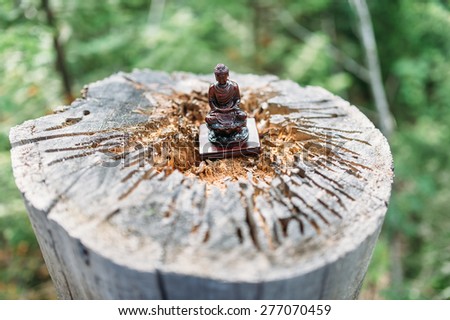 statue of a Buddha in the tree of life on the mountain. lake Baikal