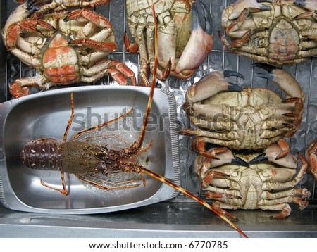 Lobster and large crabs for sale at market