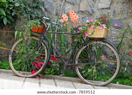 Old Bicycle Decorated With Flowers In The Garden Stock Photo 7859512 ...