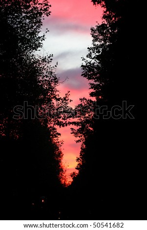 Sunset Stock foto © 