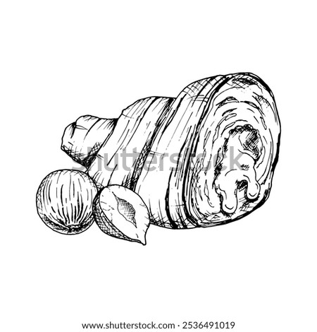 A detailed hand drawn vector illustration of croissant with hazelnuts. Black and white sketch showcasing the flaky texture and nut filling. Ideal for bakery, food packaging or culinary design projects